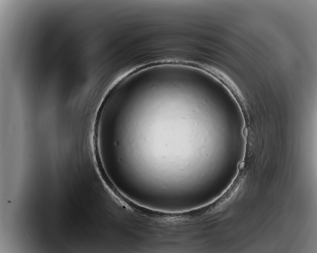 X0000087690847200705111319