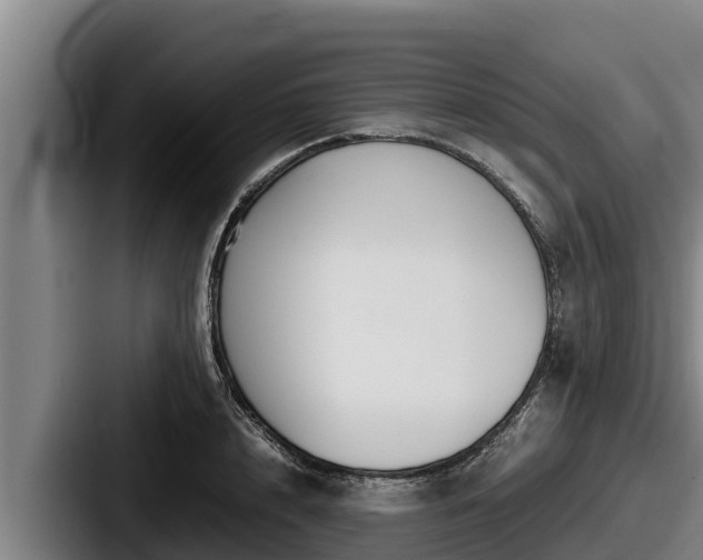 X0000087690848200705111319