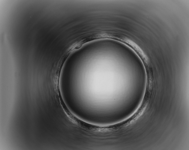 X0000087690849200705111319