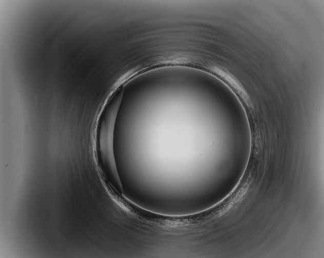 X0000087690850200705111319