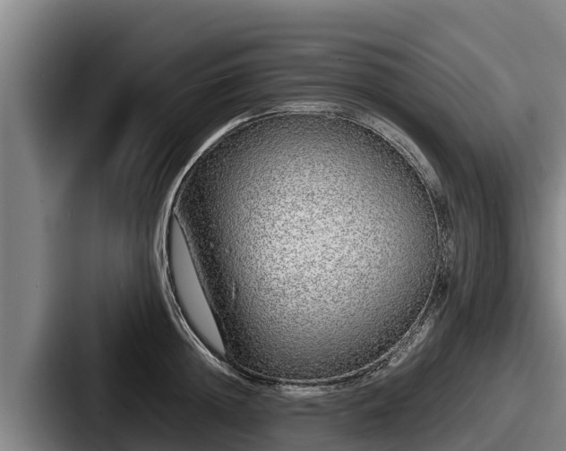 X0000087690852200705111319