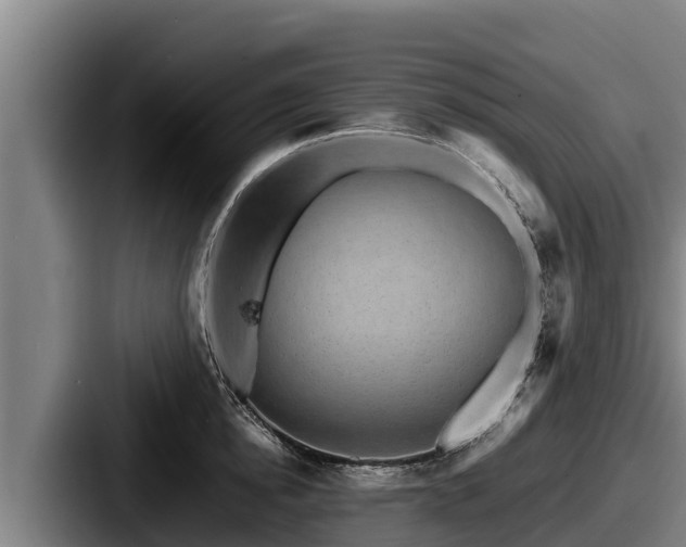 X0000087690854200705111319