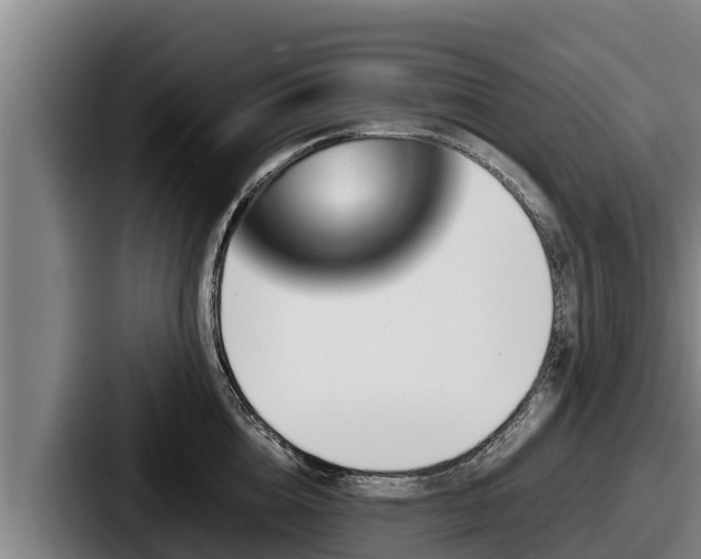 X0000087690856200705111319