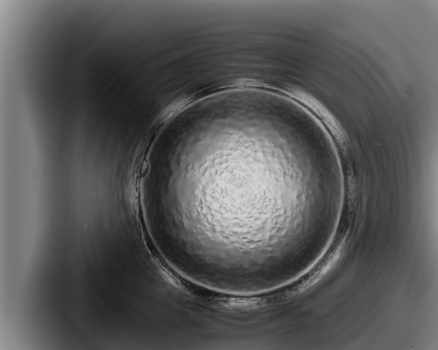 X0000087690857200705111319