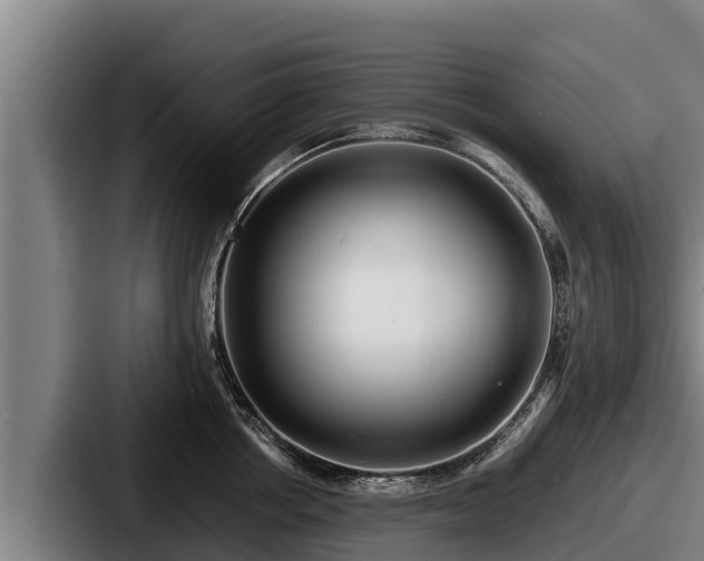 X0000087690858200705111319