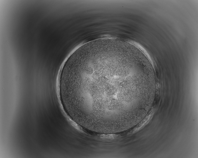 X0000087690859200705111319