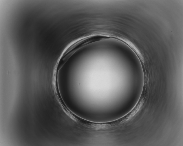 X0000087690862200705111319