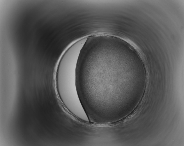 X0000087690864200705111319