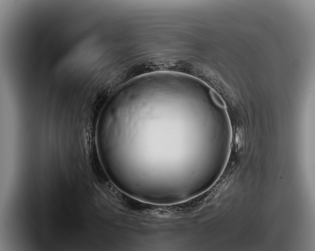 X0000087690867200705111318