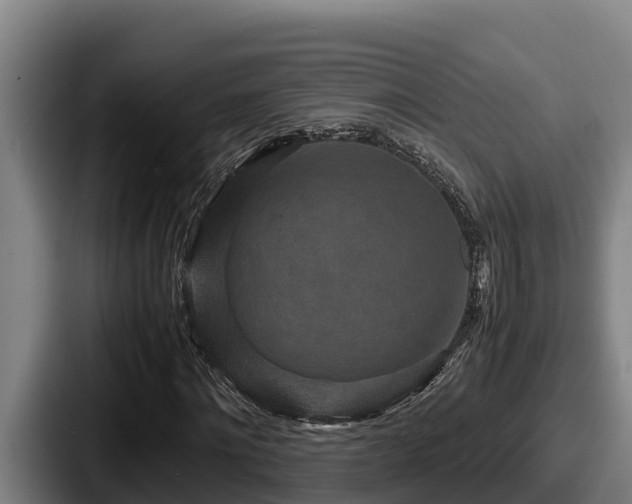 X0000087690868200705111318