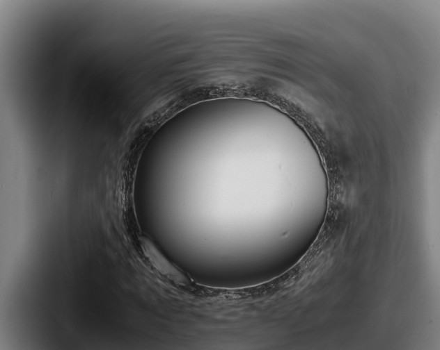 X0000087690869200705111318
