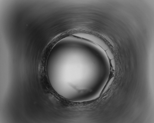 X0000087690872200705111318