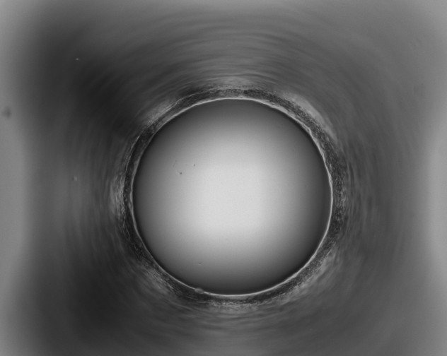 X0000087690873200705111318