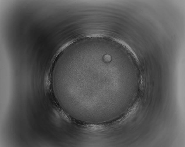 X0000087690874200705111318