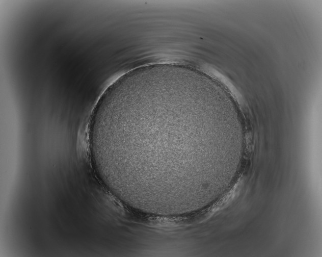 X0000087690875200705111318