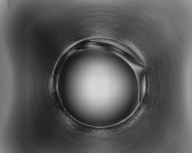 X0000087690876200705111318