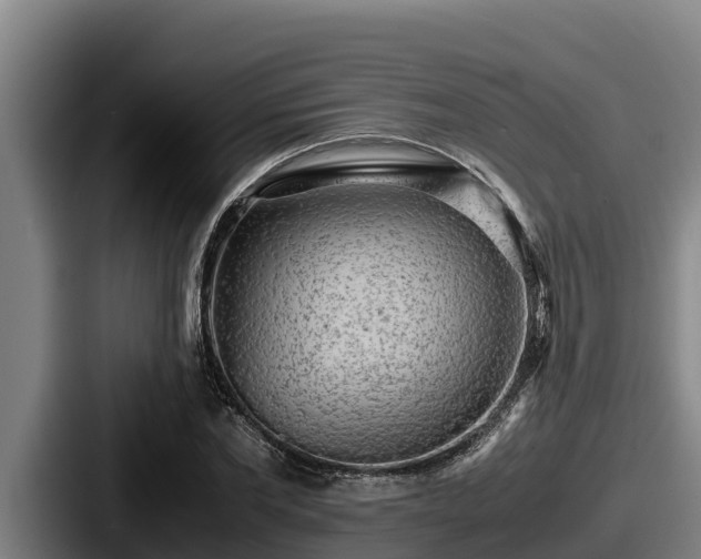 X0000087690877200705111318