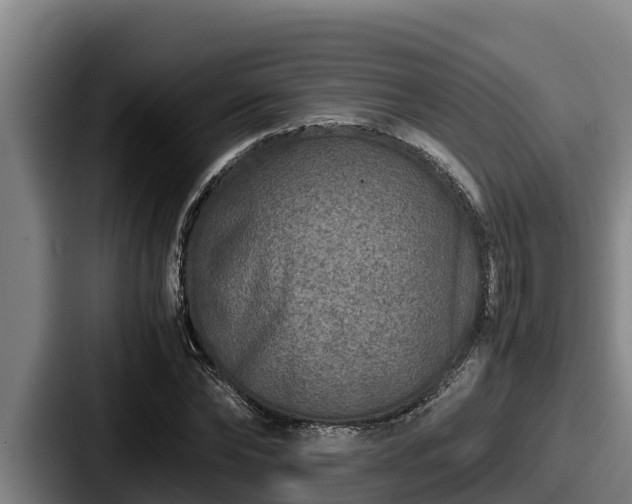 X0000087690878200705111318