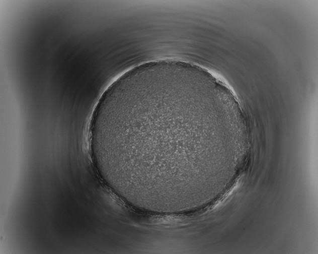 X0000087690879200705111318