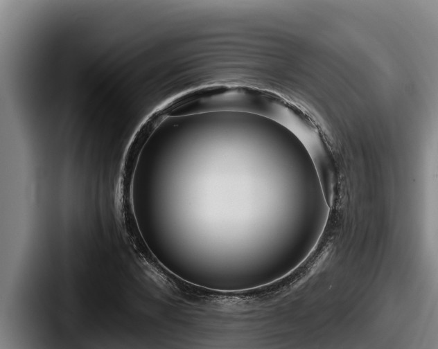 X0000087690880200705111318