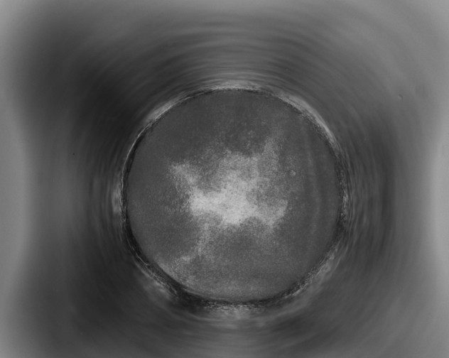 X0000087690882200705111318