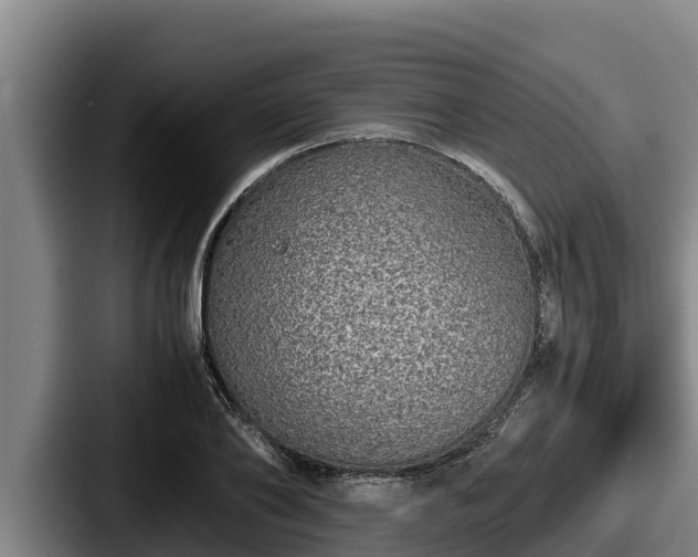 X0000087690886200705111318