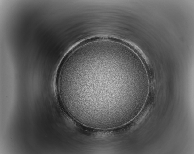 X0000087690887200705111318