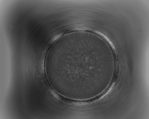 X0000087690889200705111318