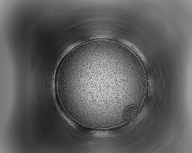X0000087690890200705111318