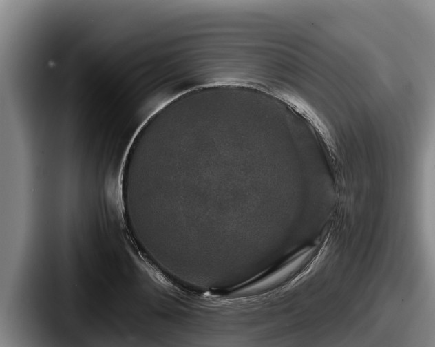 X0000087690892200705111318