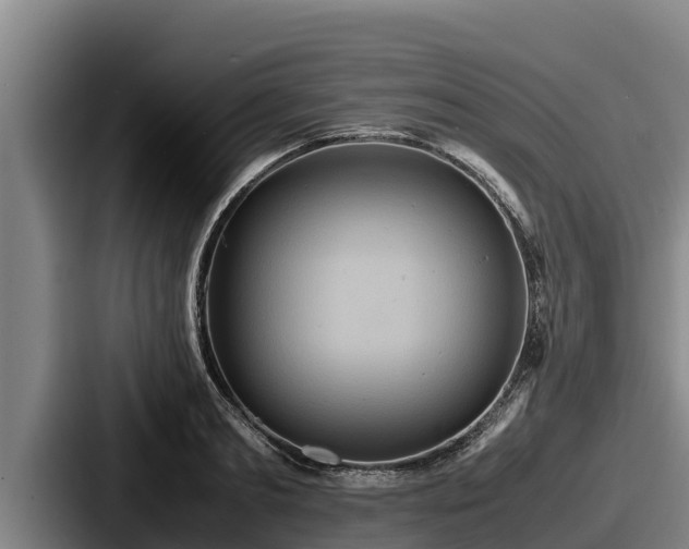 X0000087690893200705111318