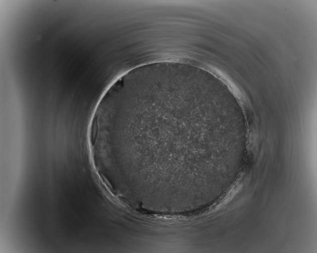 X0000087690899200705111318