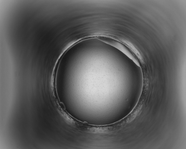 X0000087690900200705111318