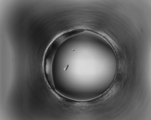 X0000087690902200705111318