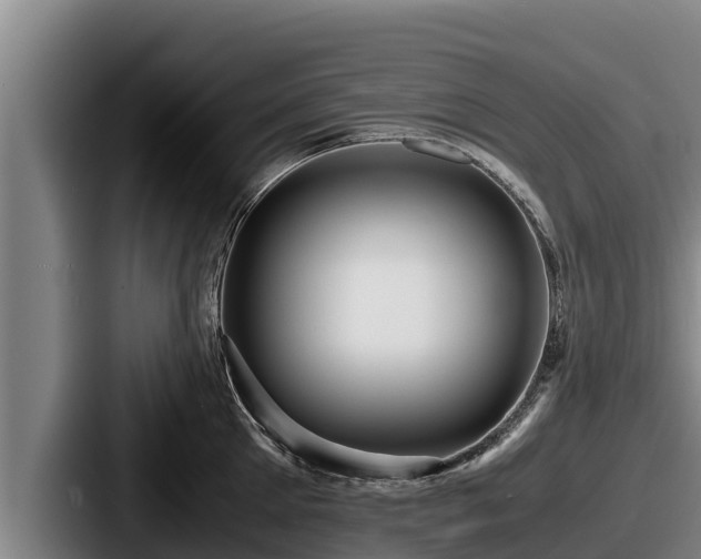 X0000087690905200705111318