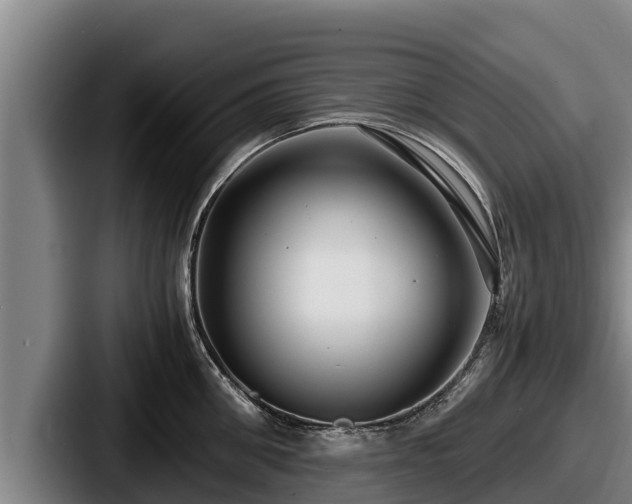 X0000087690906200705111318