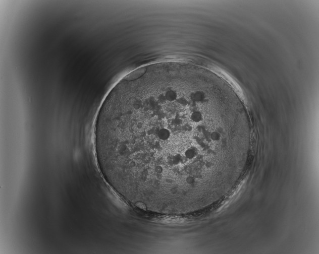 X0000087690907200705111318