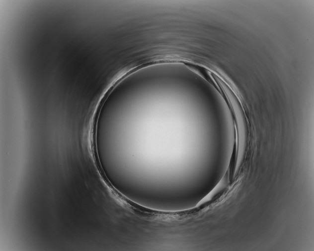 X0000087690909200705111318