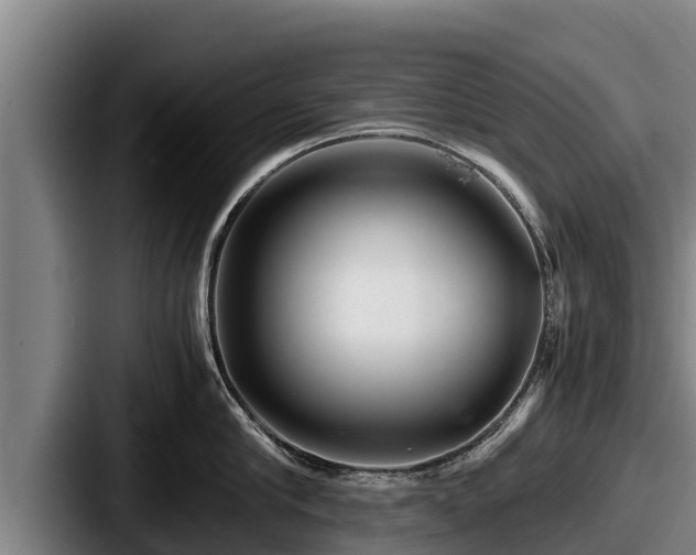 X0000087690910200705111318