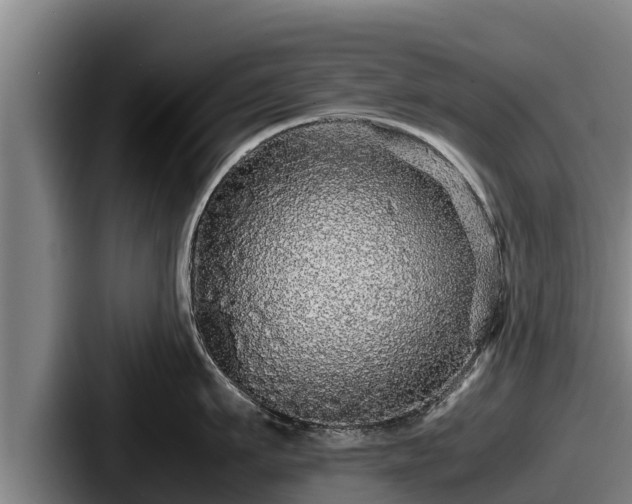 X0000087690911200705111318