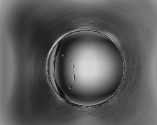 X0000087690912200705111318