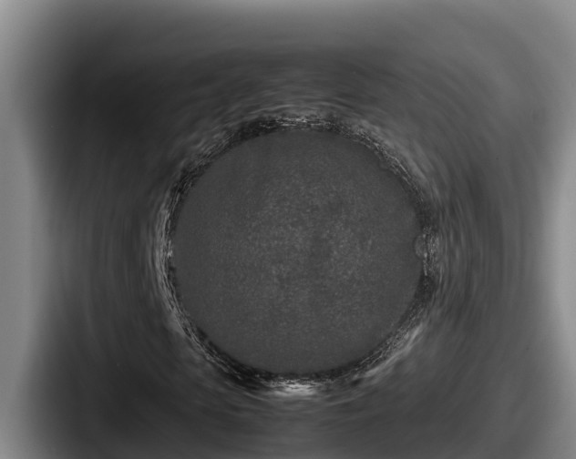 X0000087690913200705111317