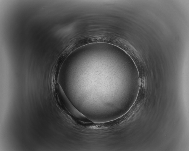 X0000087690915200705111317