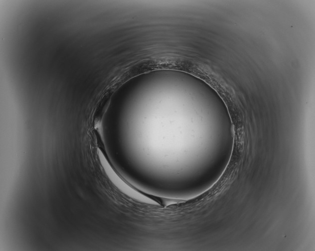 X0000087690916200705111317