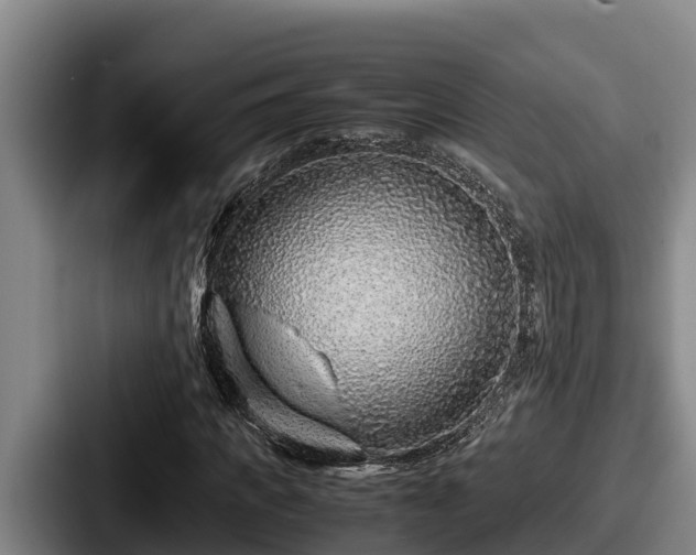 X0000087690917200705111317
