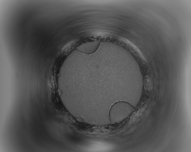 X0000087690918200705111317