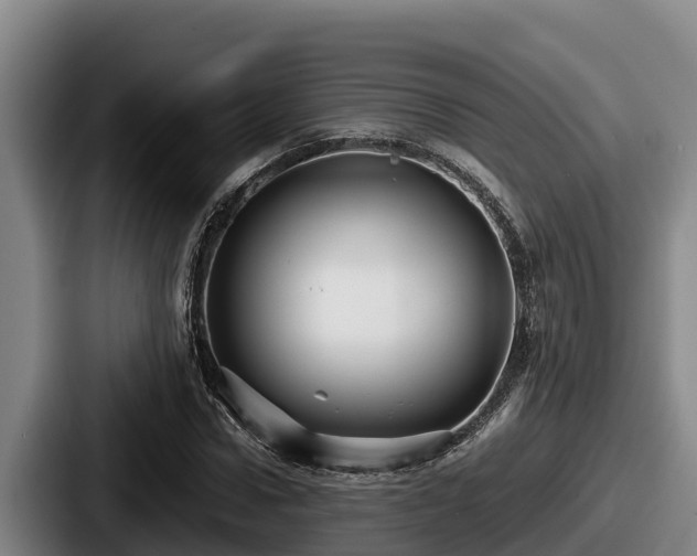 X0000087690922200705111317