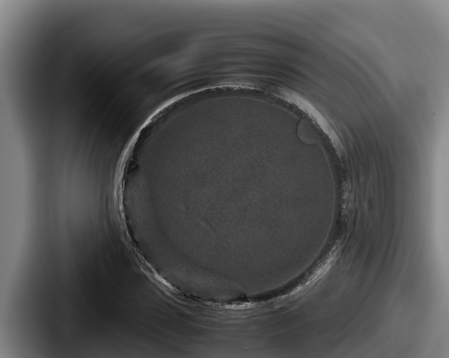 X0000087690923200705111317