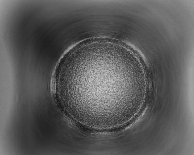 X0000087690925200705111317