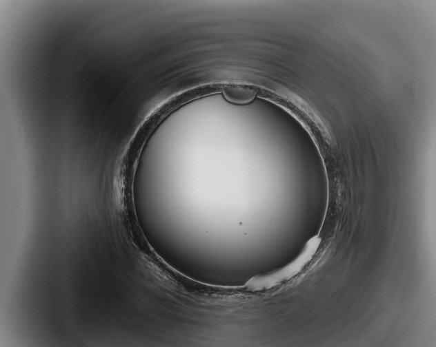 X0000087690926200705111317